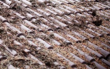 Stirtloe roof cleaning companies