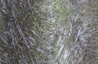 Stirtloe fibreglass roof work